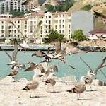 Hotel Ahilea - Free Pool Access 3*