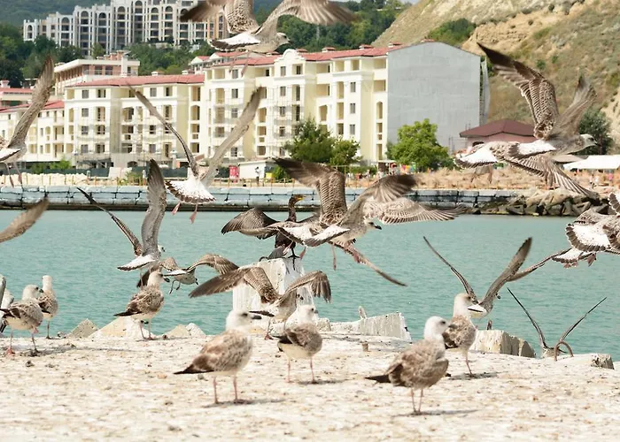 Hotel Ahilea - Free Pool Access 3*